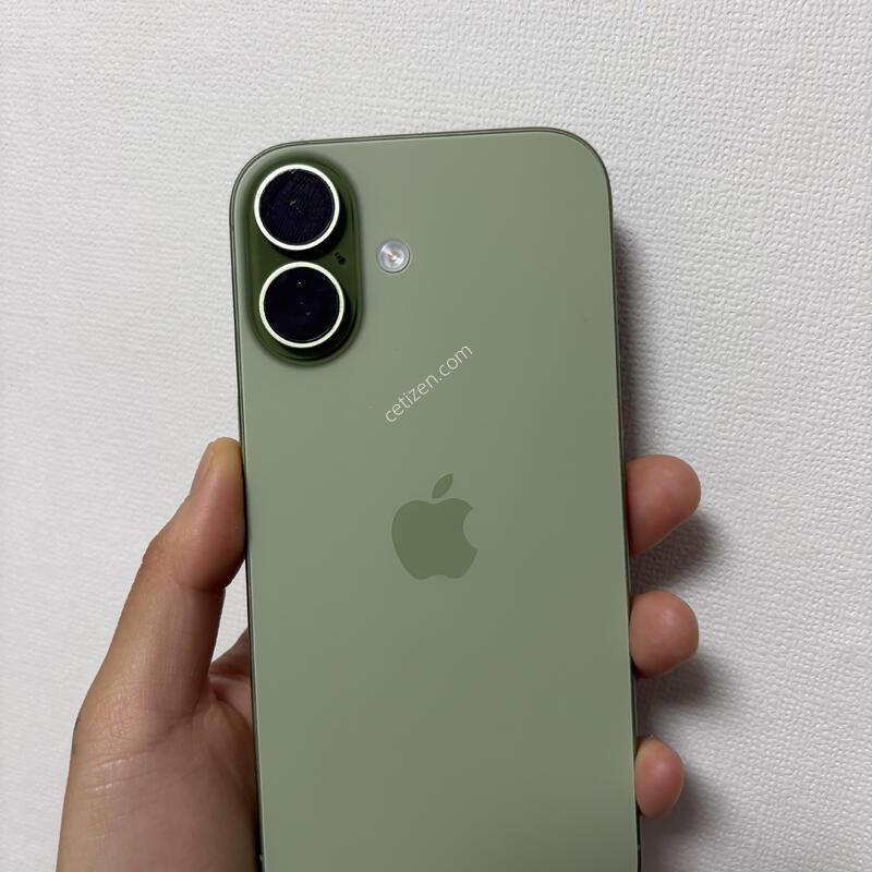 ������17 �׸� 256