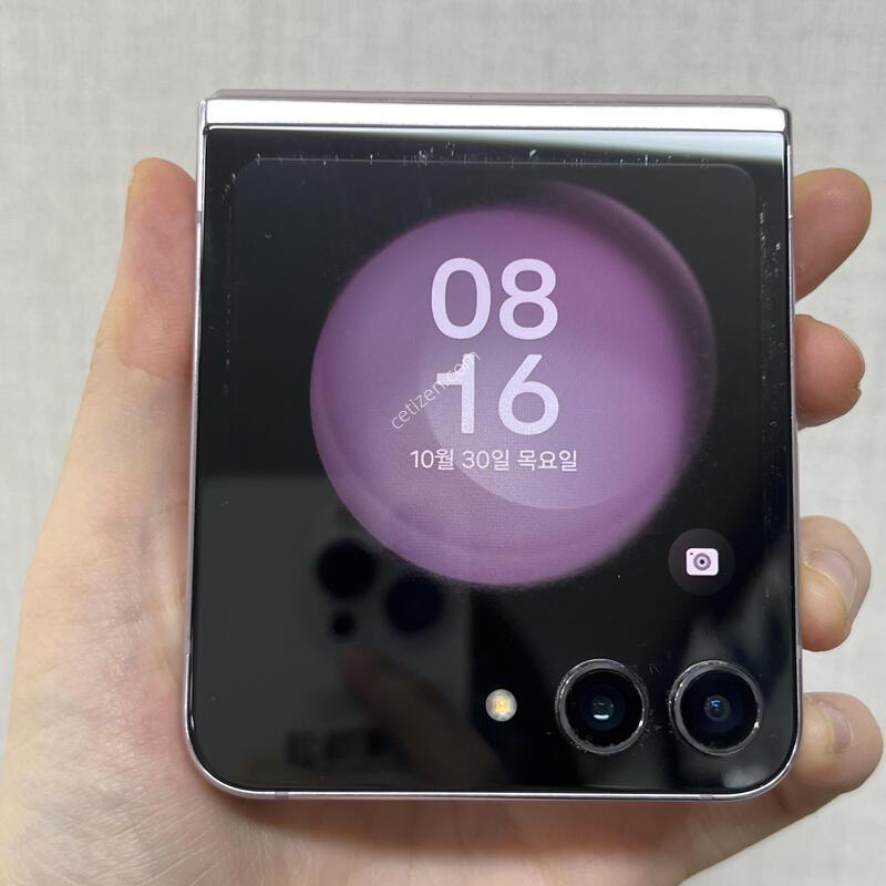 [�Ǽ���]������Z�ø�5/F731/256/����/84775