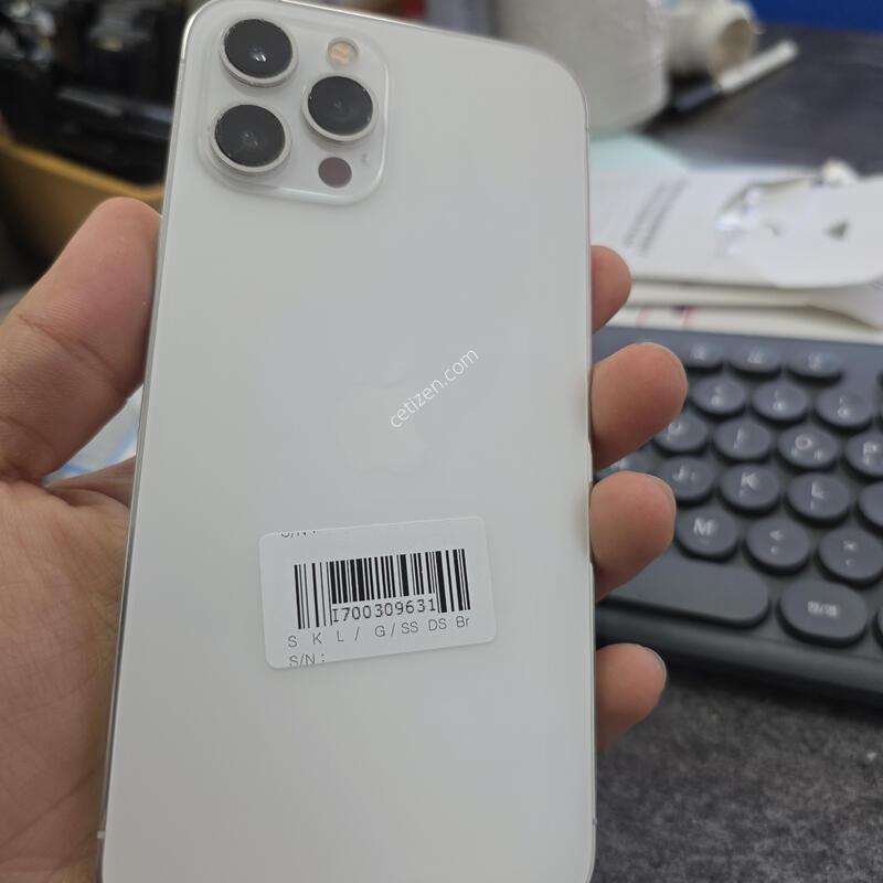 (3848)12���θƽ� 256