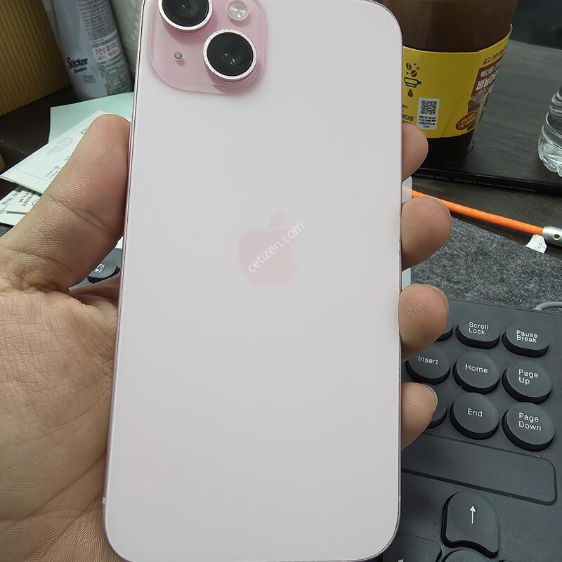 (5203)15�÷���