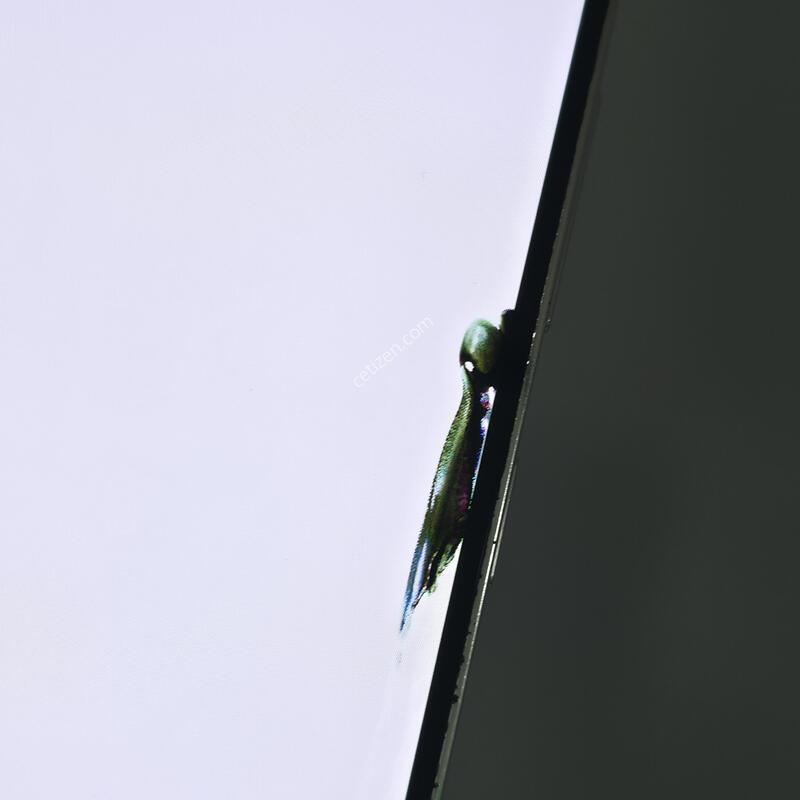 [�Ѿ˹��][ 16789 ]������ S23 �÷���_256G