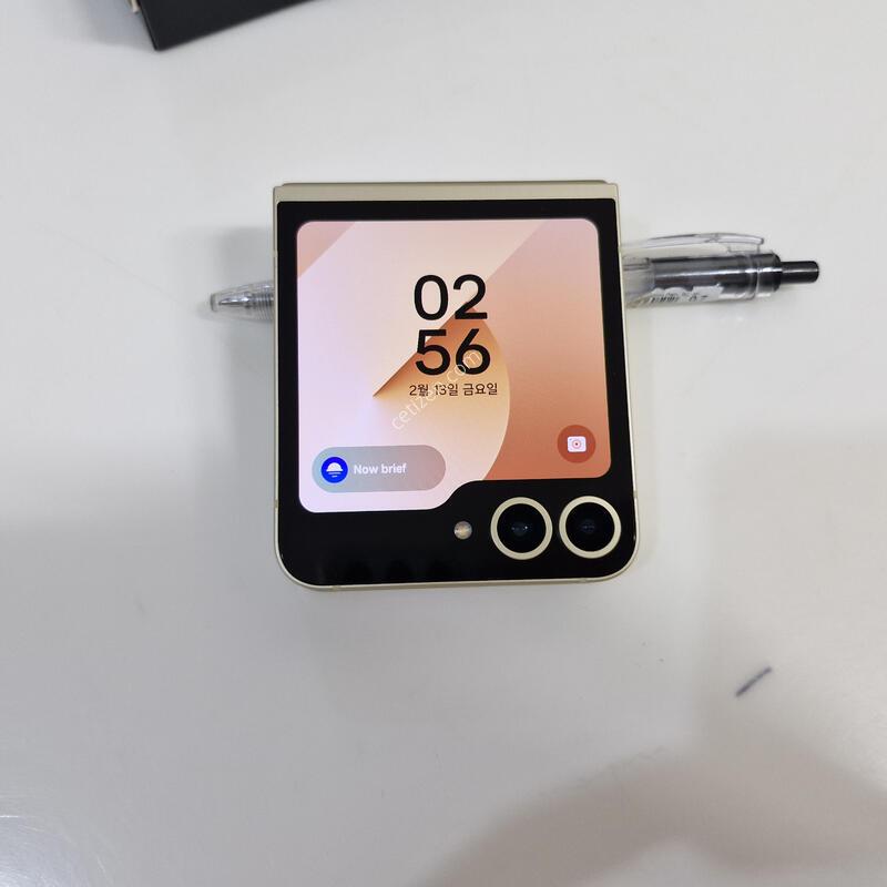 �ø�6 �������� �ܻ���� A-�� ��������