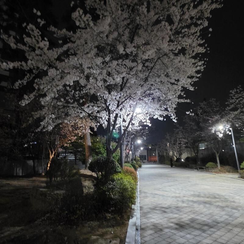 ����6 �̻����