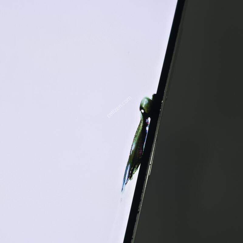 [�Ѿ˹��][ 16789 ]������ S23 �÷���_256G