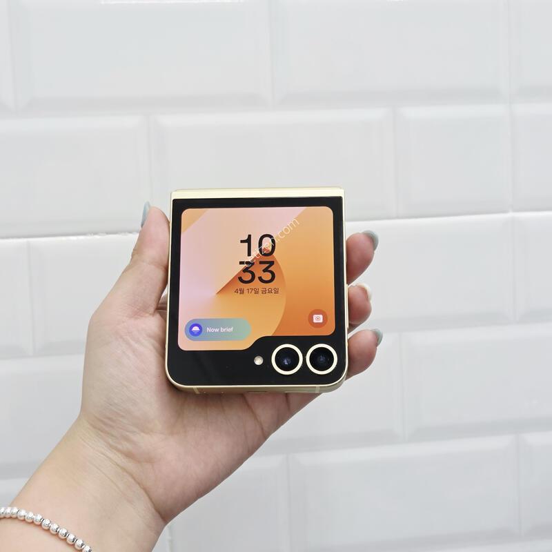 ������Z�ø�6 ���ο� 256GB