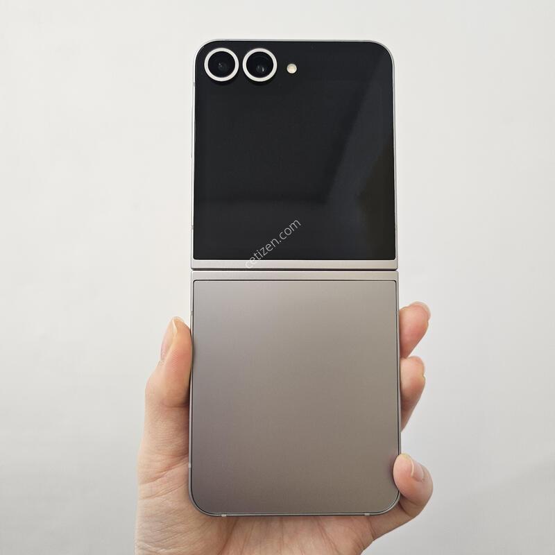 ������ Z�ø�6 / S�� / 4-29