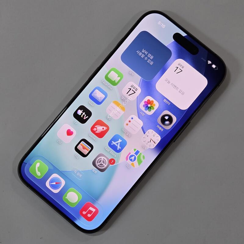 @���͸�100@ ������ 17 256GB ���� 74880