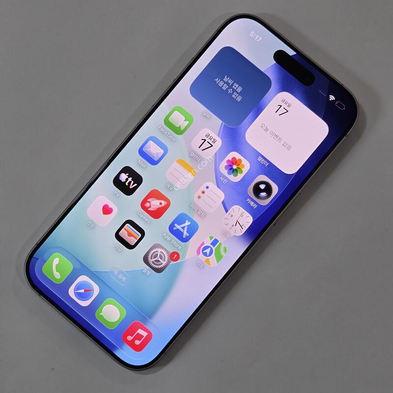 @���͸�99@ ������ 17 256GB ���� 74978