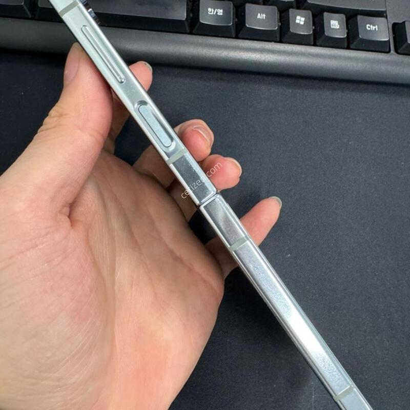 ������ z�ø�5 �׸�