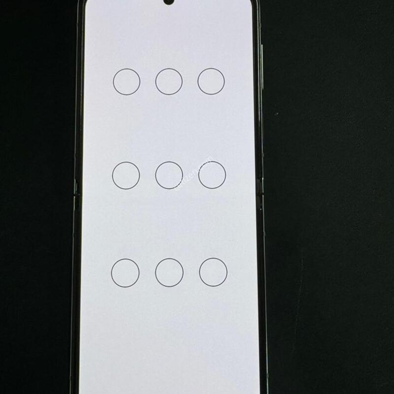 ������ z�ø�5 �׸�