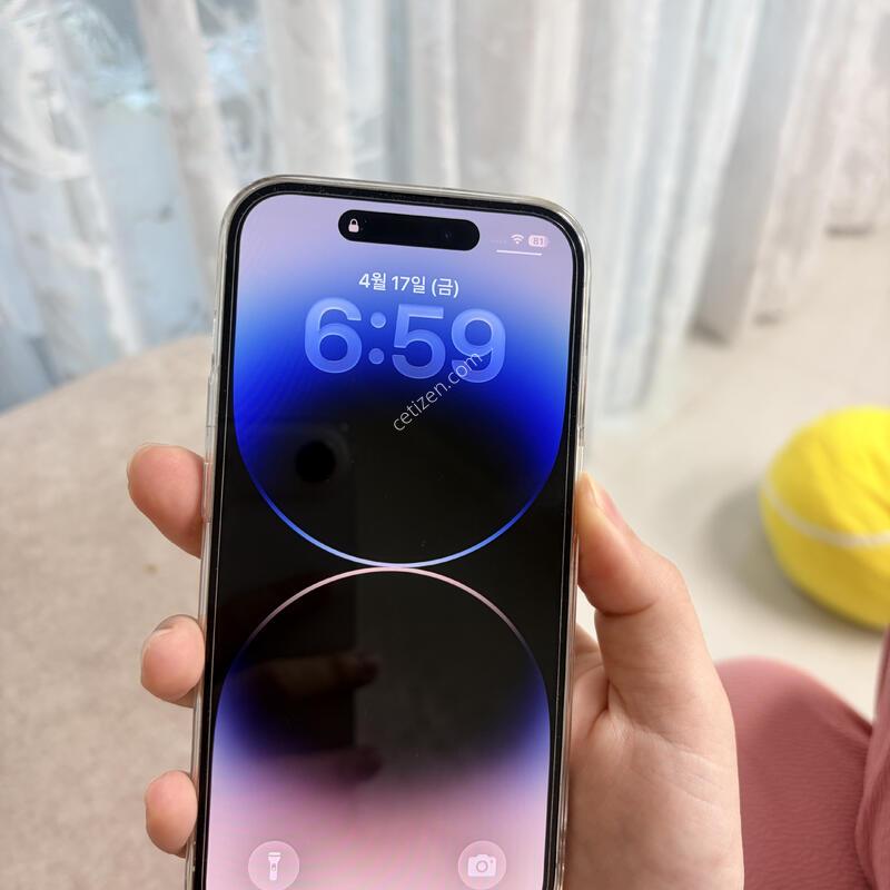 ���� ������ 14 Pro Ǯ�ڽ� 1�׶� ���̽� ����