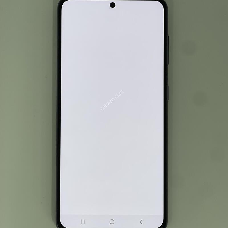 ������s21 ���۱� ����ǰ�� �������� ������ 22.9��(ȭ��Ʈ)