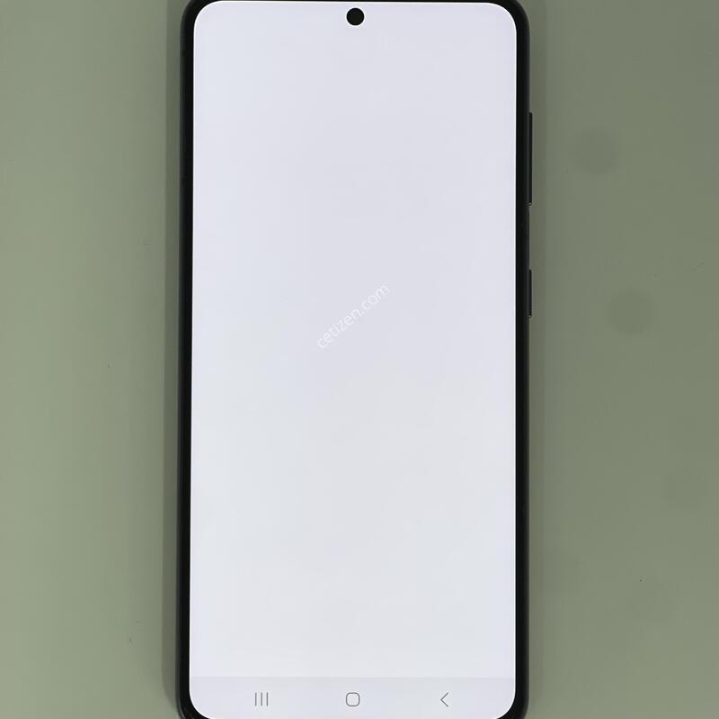 ������s21 ���۱� ����ǰ�� �������� ������ 22.9��(ȭ��Ʈ)