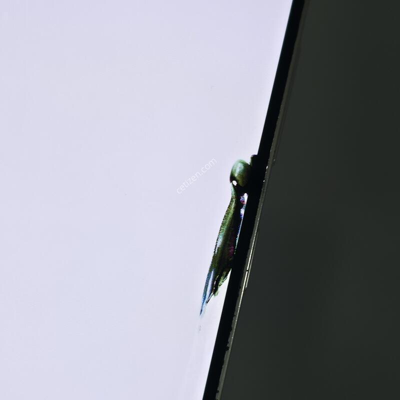 [�Ѿ˹��][ 16789 ]������ S23 �÷���_256G