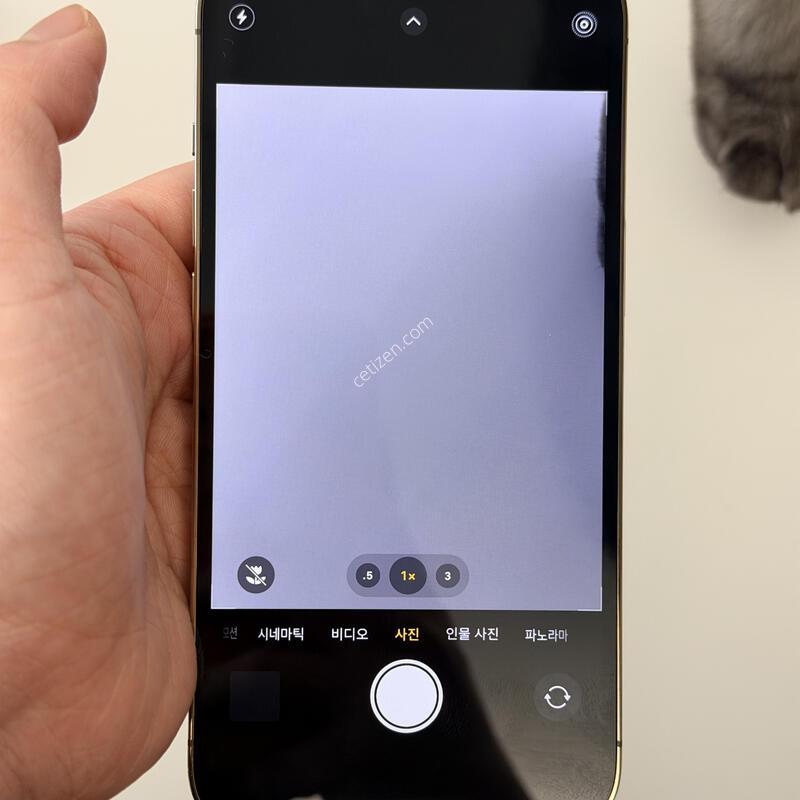 13���� ������ 256�Ⱑ!!