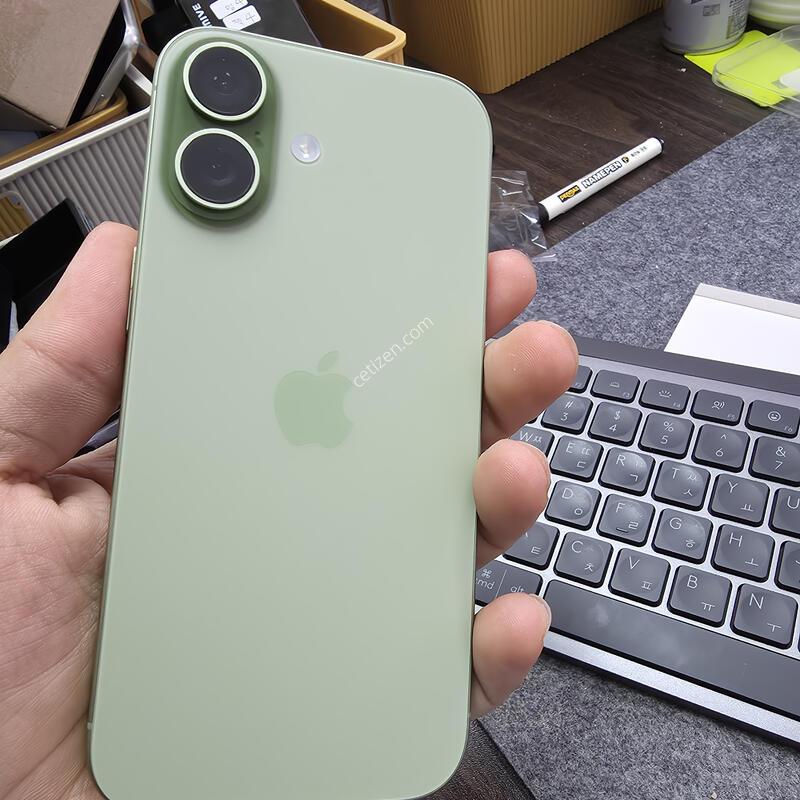 (1006)������17 266