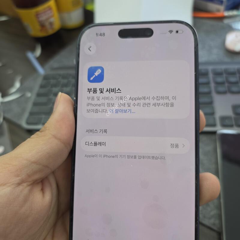 (1304)17����