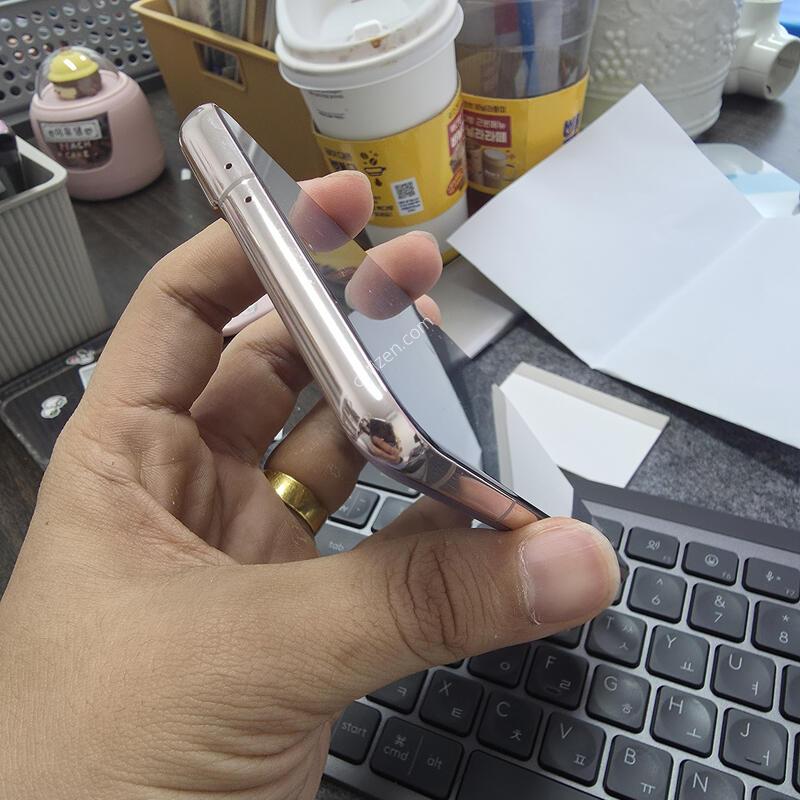 (1515)21�÷���