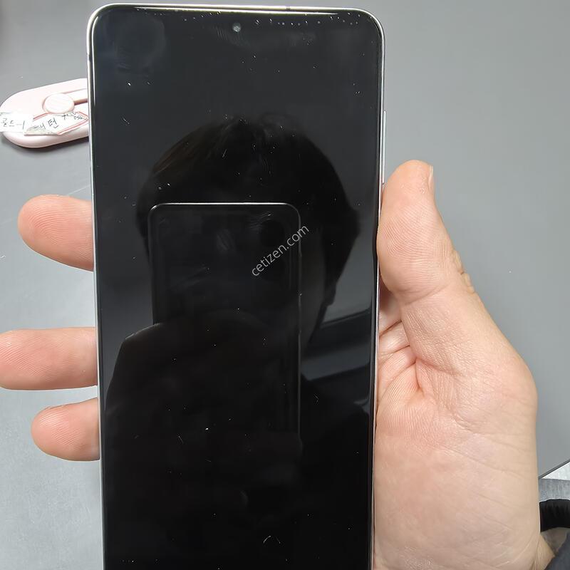 (1920)������s21�÷��� 256 �Ǹ��մϴ�