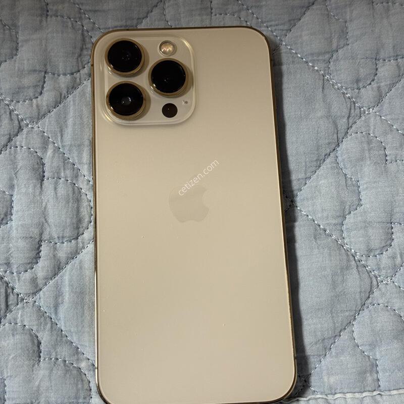 ������13���� 256