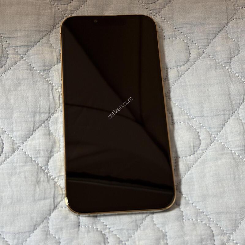 ������13���� 256