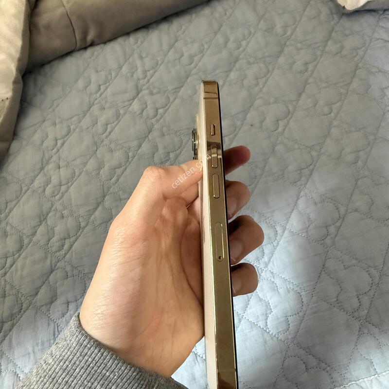 ������13���� 256