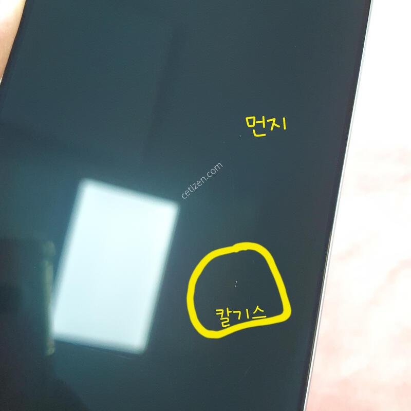 ���� �������� �����