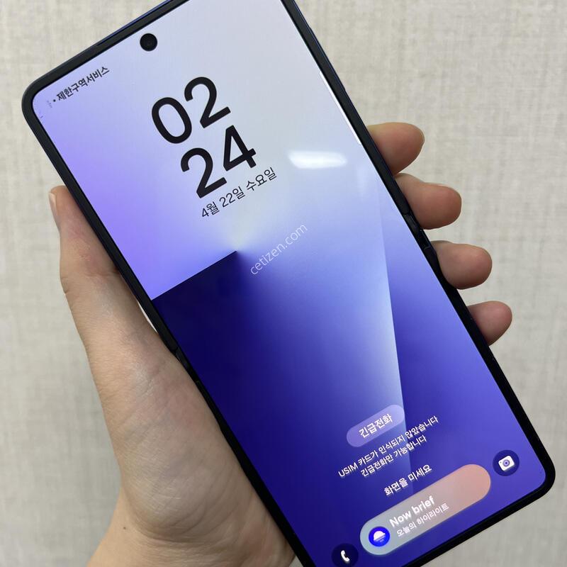 [�Ǽ���]������Z�ø�/F766/256/���罦����/85229