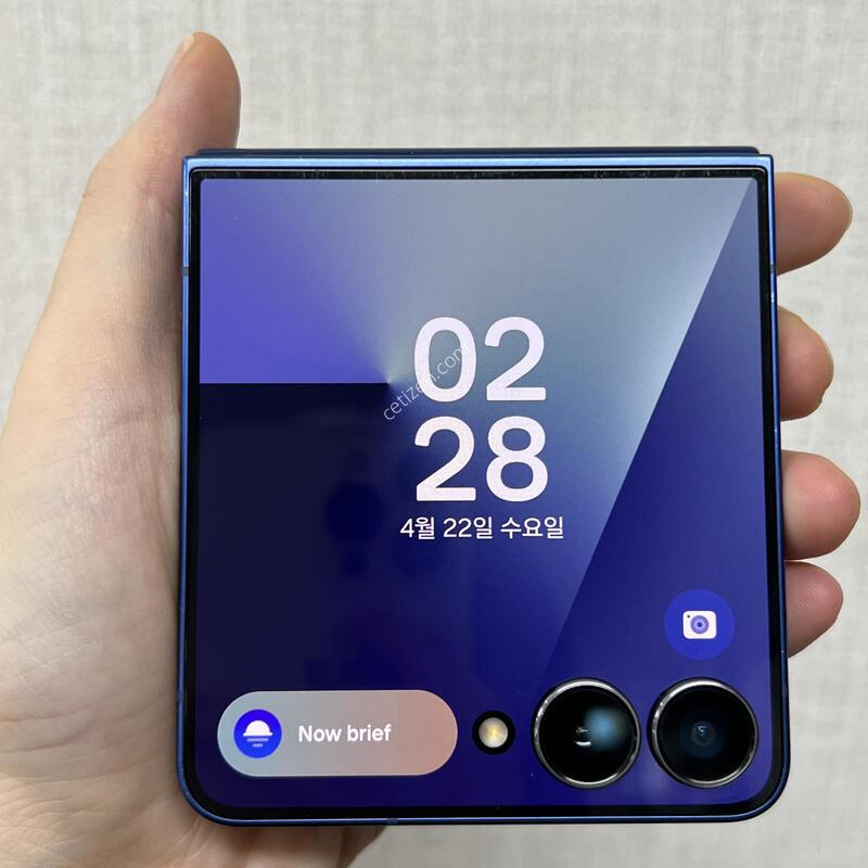 [�Ǽ���]������Z�ø�/F766/256/���罦����/85229