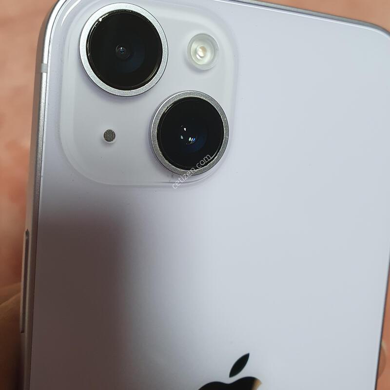 ���� �������� �����