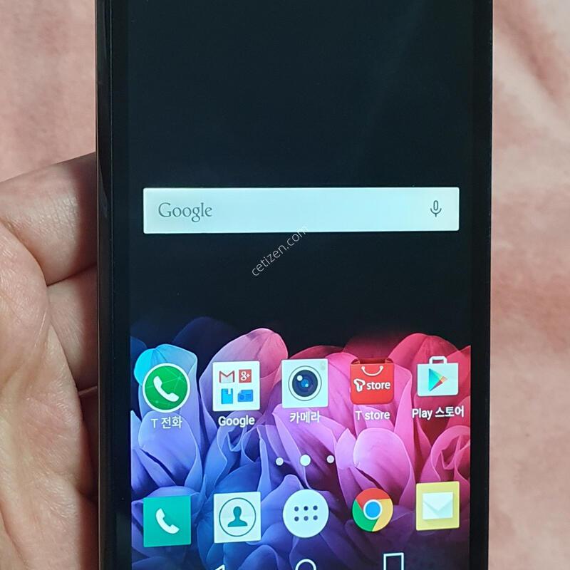 ���� �������� �����