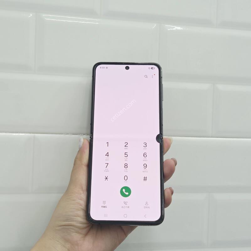 ������Z�ø�4 �׶�����Ʈ 256GB