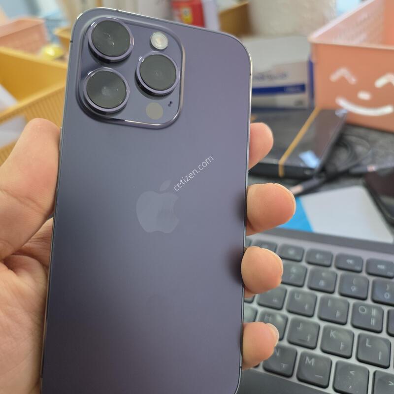 (3994)14���� 256