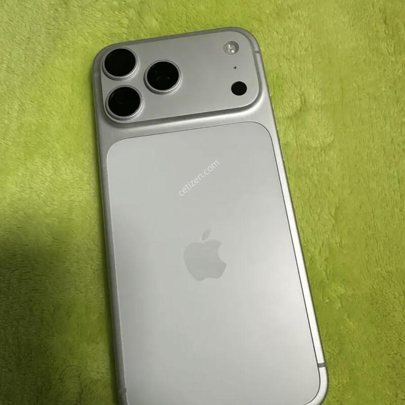 ������ 17���θƽ�256