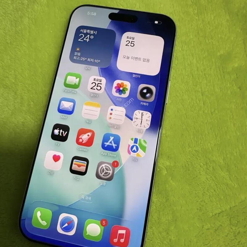 ������ 17���θƽ�256