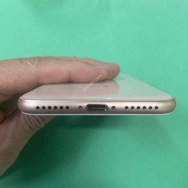 ������8 ��� 256�Ⱑ SS��(���͸�100%)�Դϴ�