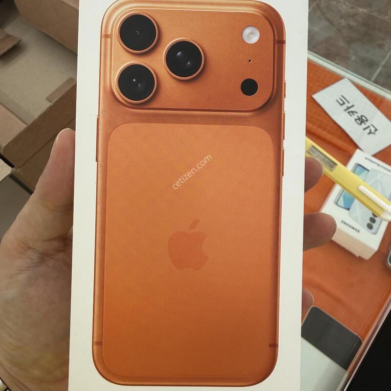 ������17����512 �̰��� ������