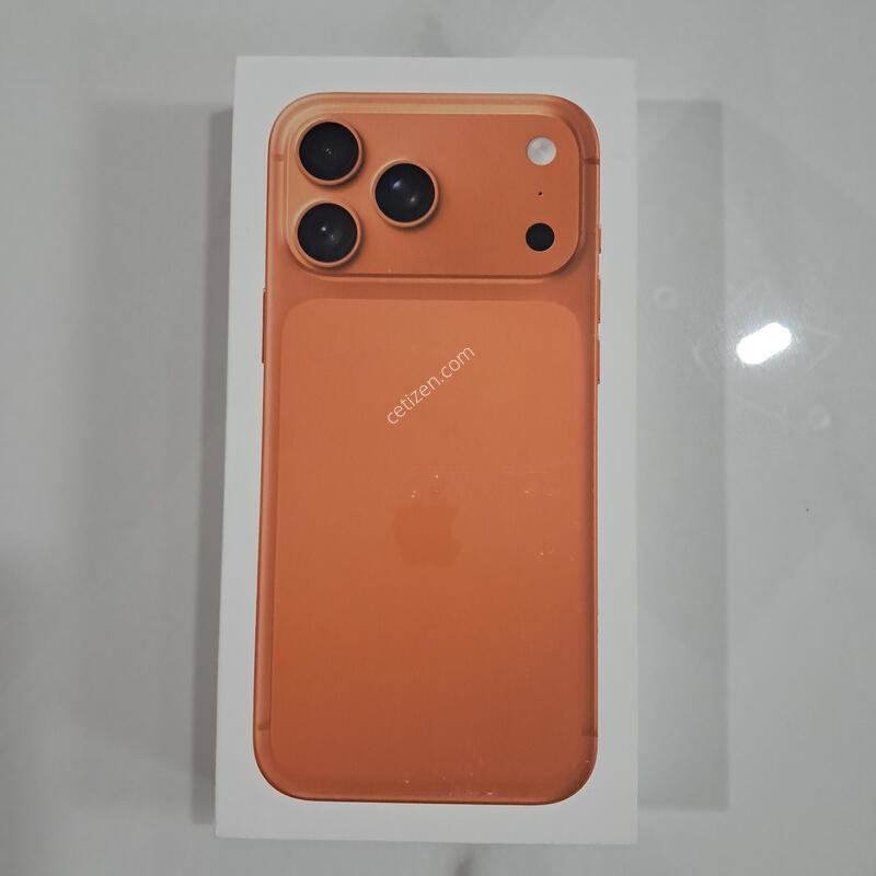 ������17 ���θƽ� 256 ������