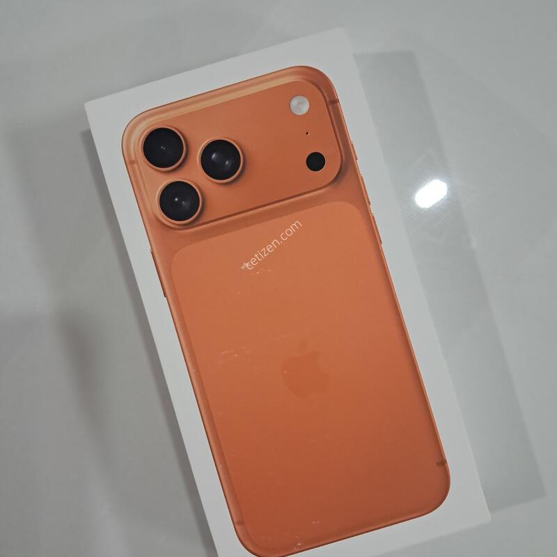 ������17 ���θƽ� 256 ������