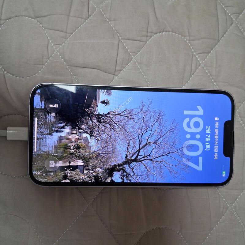 ������14(256)