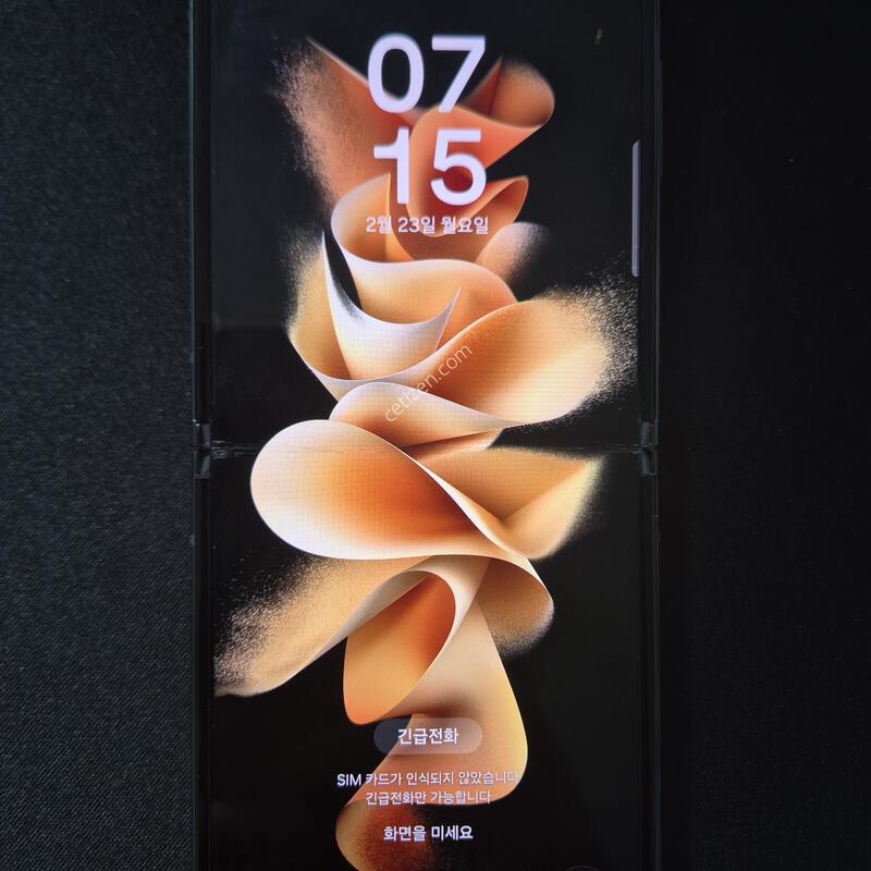 ������ Z�ø�3 ��ũ�׸� 256G