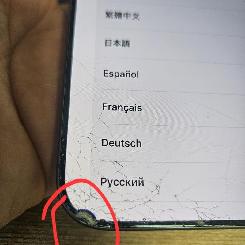 ������17 256���� ����