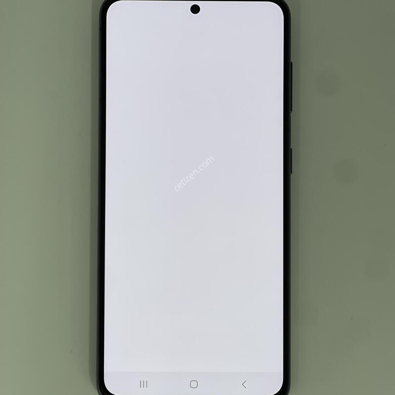 ������s21 ���۱� ����ǰ�� �������� ������ 22.9��(ȭ��Ʈ)