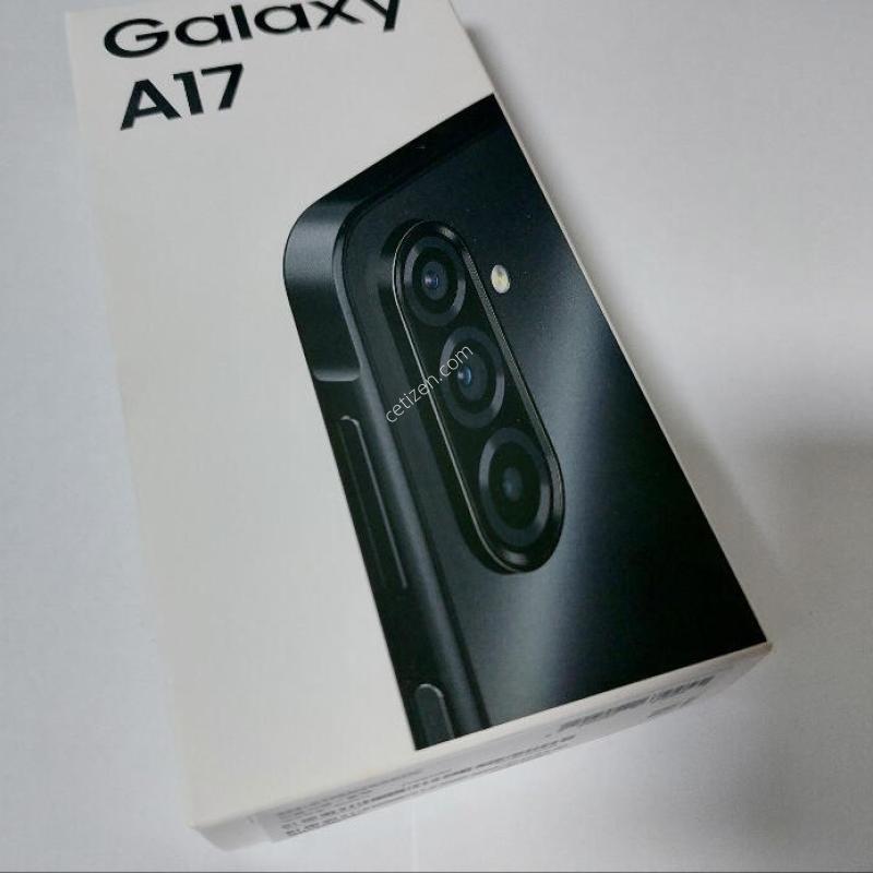 A175 ����, �������� , �ڽ�Ǯ