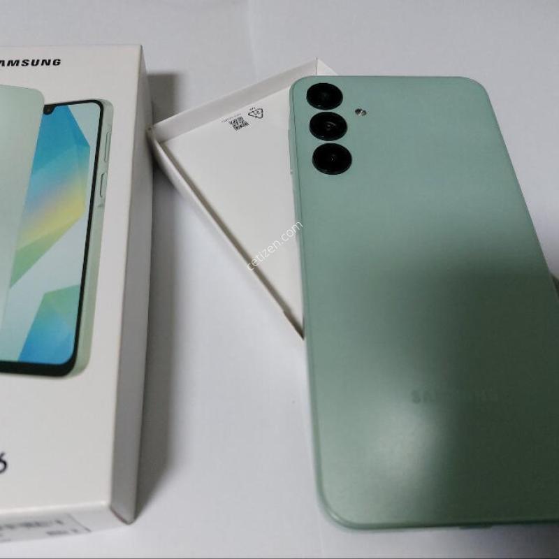 ������ A165 ����Ʈ�׸�  ��������