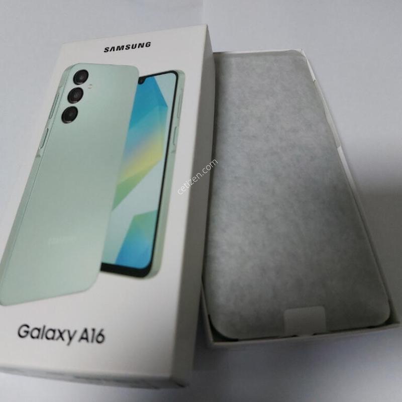 ������ A165 ����Ʈ�׸�  ��������