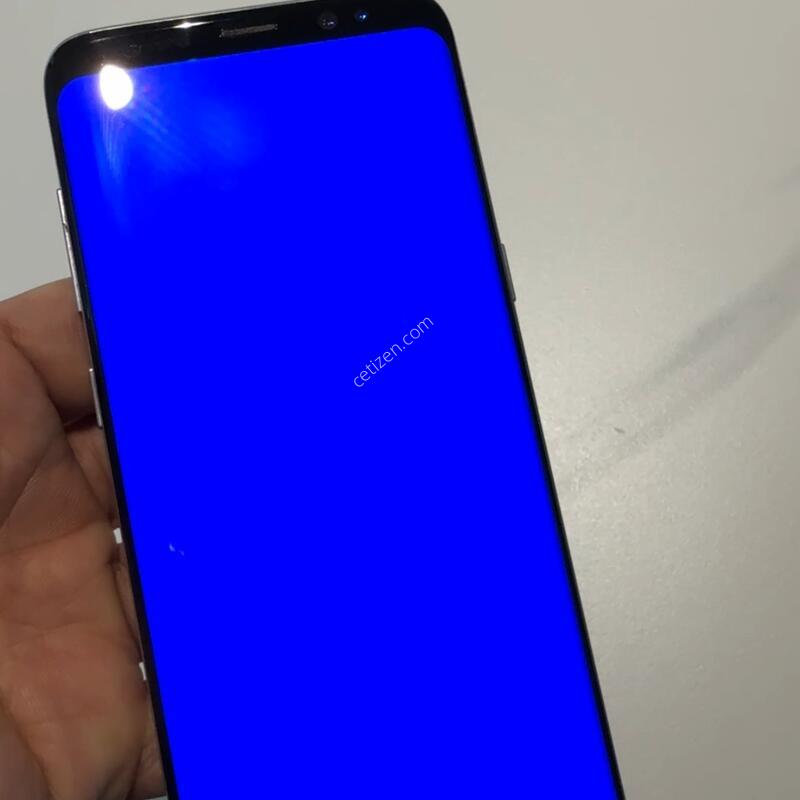 ������ S8
