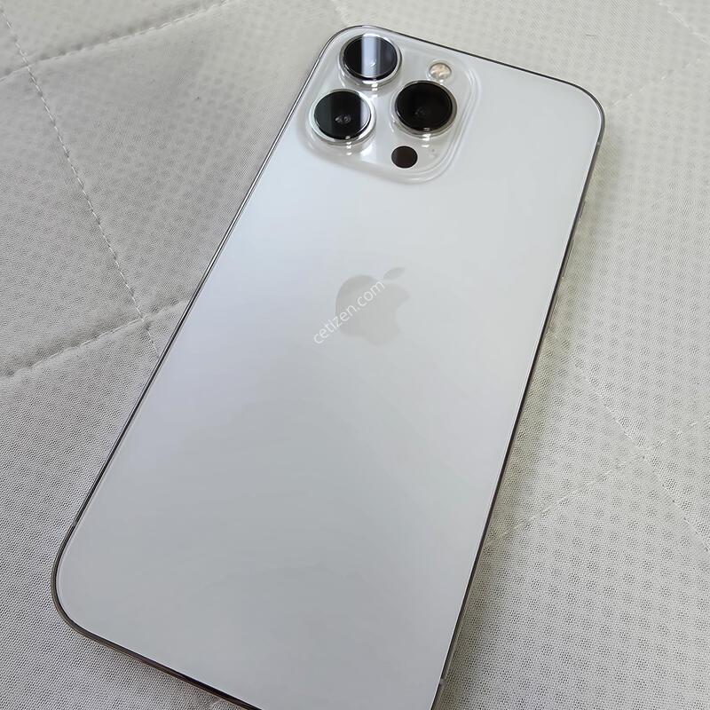 ������13���� 256GB �ǹ�