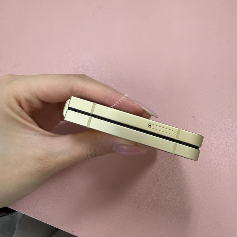 ������Z�ø�6 ���ο� 256GB