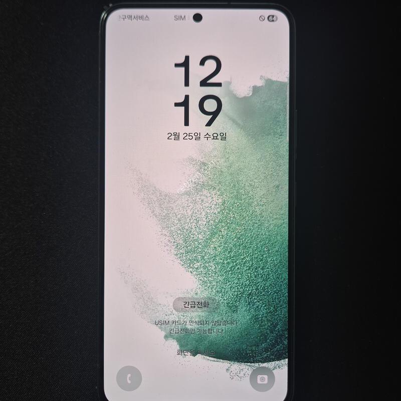 ������ S22 �׸� 256G